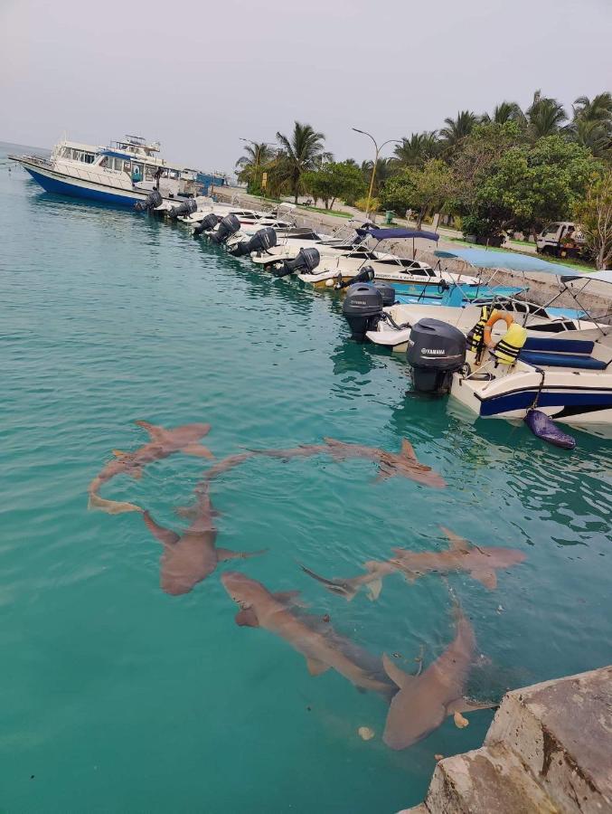 Rashuthere Maldives Rasdhoo Ngoại thất bức ảnh