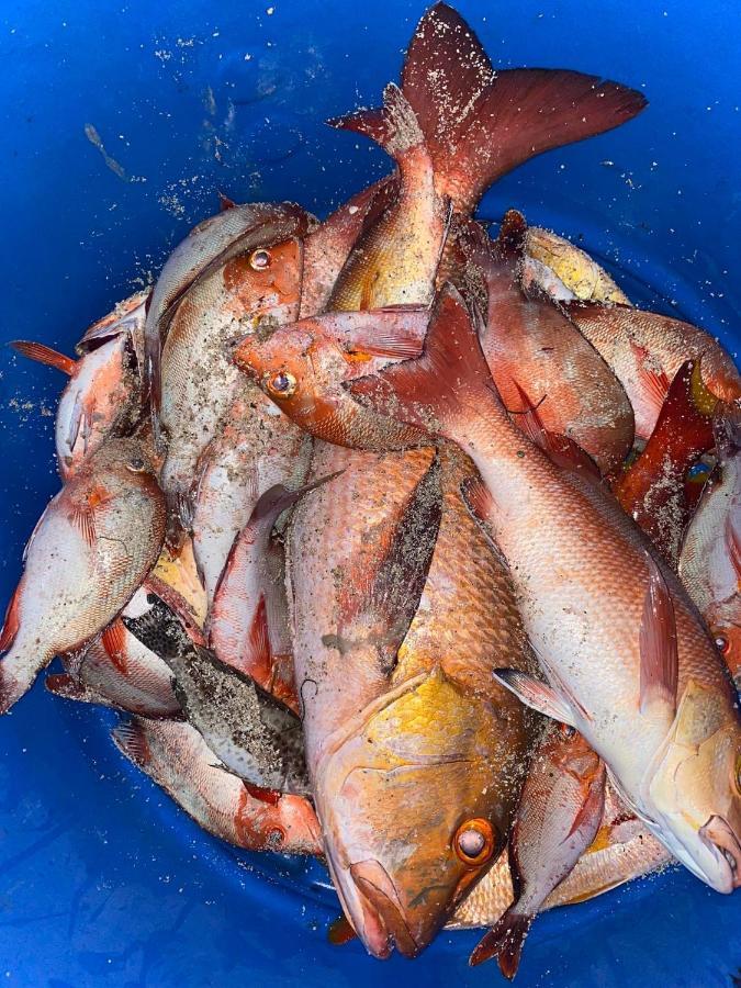 Rashuthere Maldives Rasdhoo Ngoại thất bức ảnh