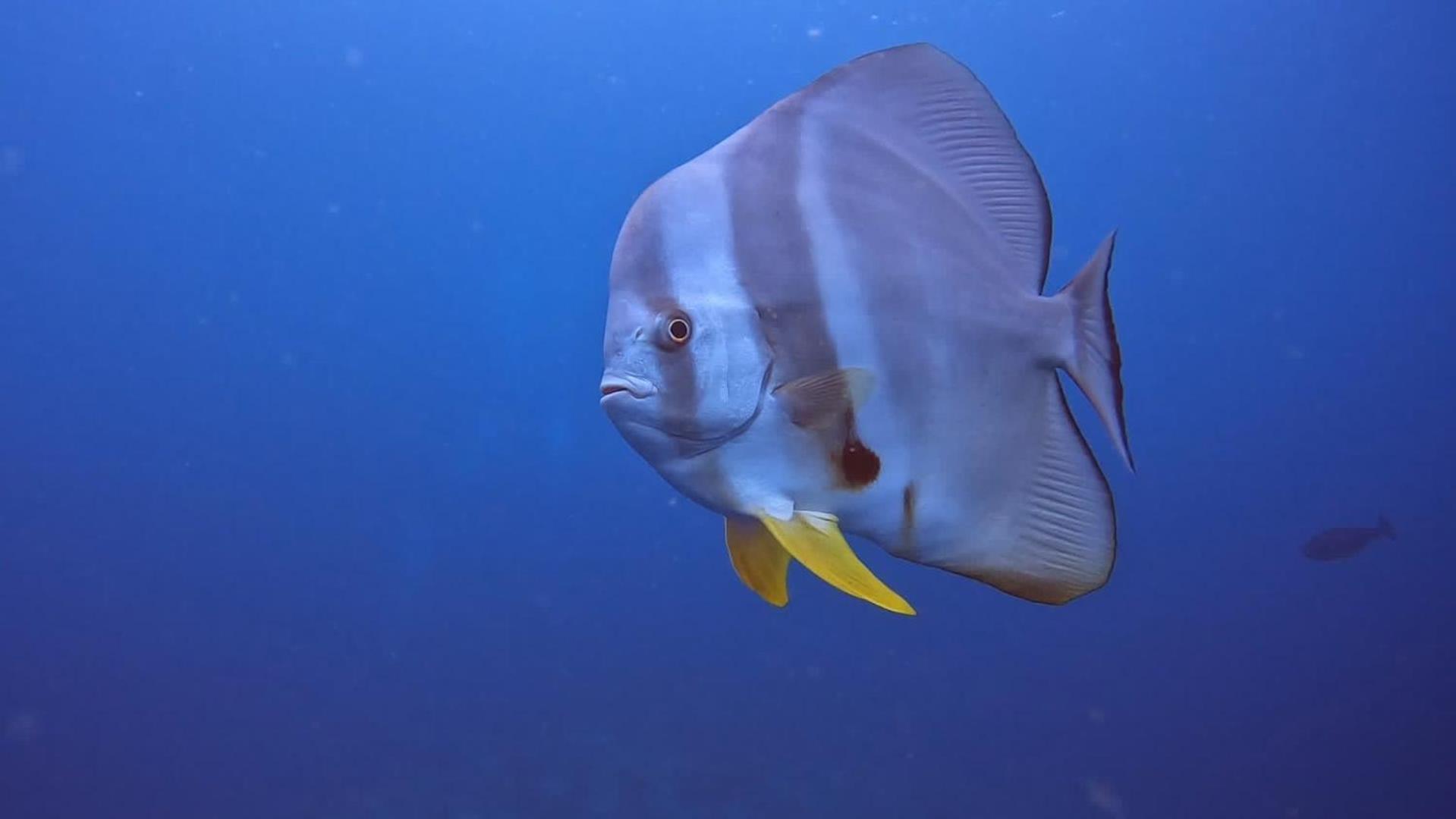 Rashuthere Maldives Rasdhoo Ngoại thất bức ảnh