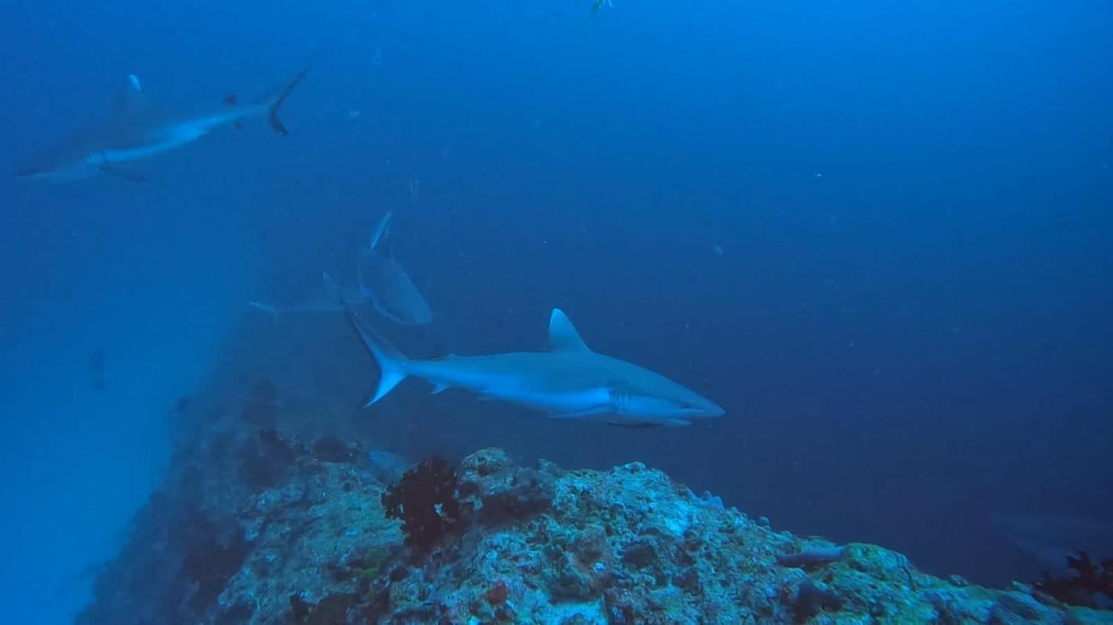 Rashuthere Maldives Rasdhoo Ngoại thất bức ảnh