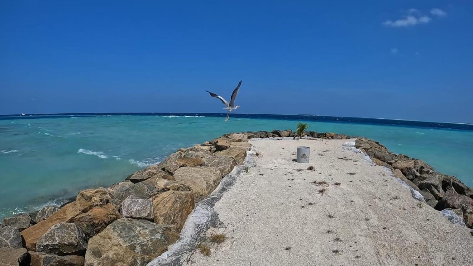 Rashuthere Maldives Rasdhoo Ngoại thất bức ảnh